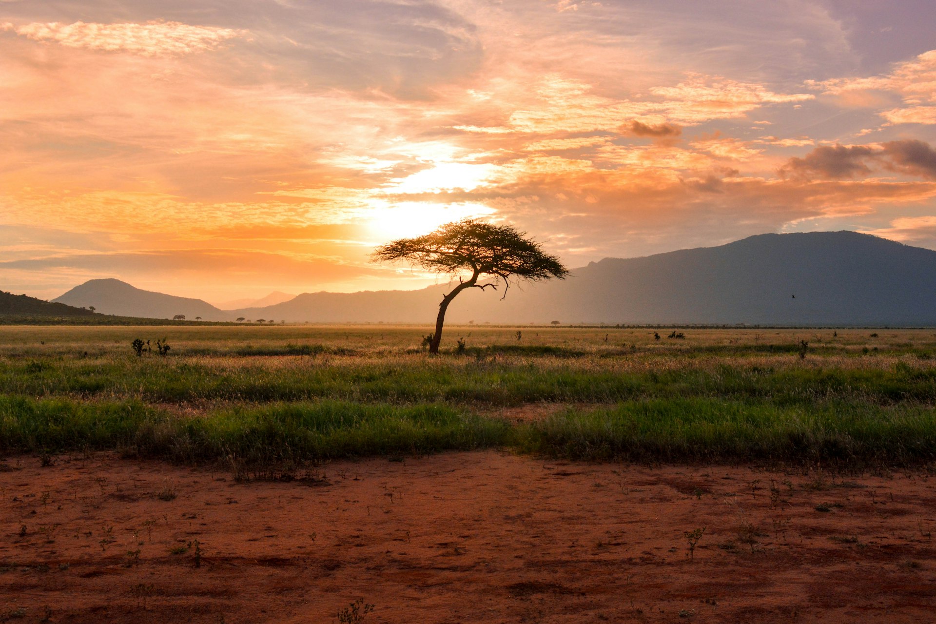 Northern Uganda Landscape